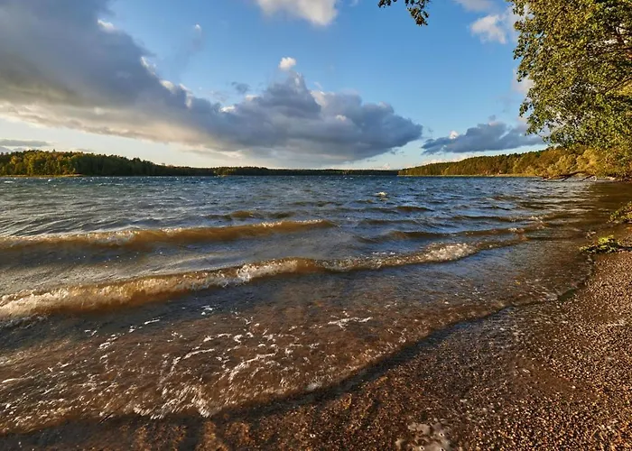 Lesne Klimaty Marozek